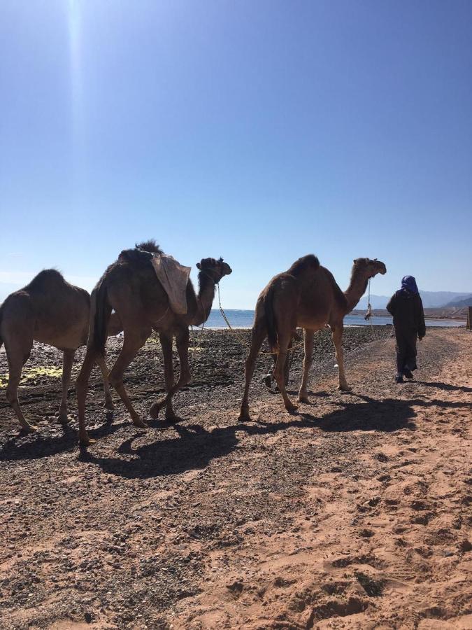 Anne Sinai'S Best Camp & Resturant Hotel Nuweiba Luaran gambar